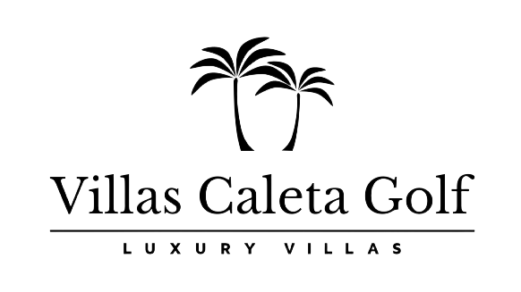 f6206279-a78d-40bf-b3d6-c56578711787