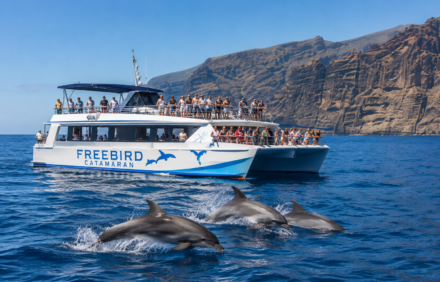 Boat Trips and Whale Watching in Tenerife